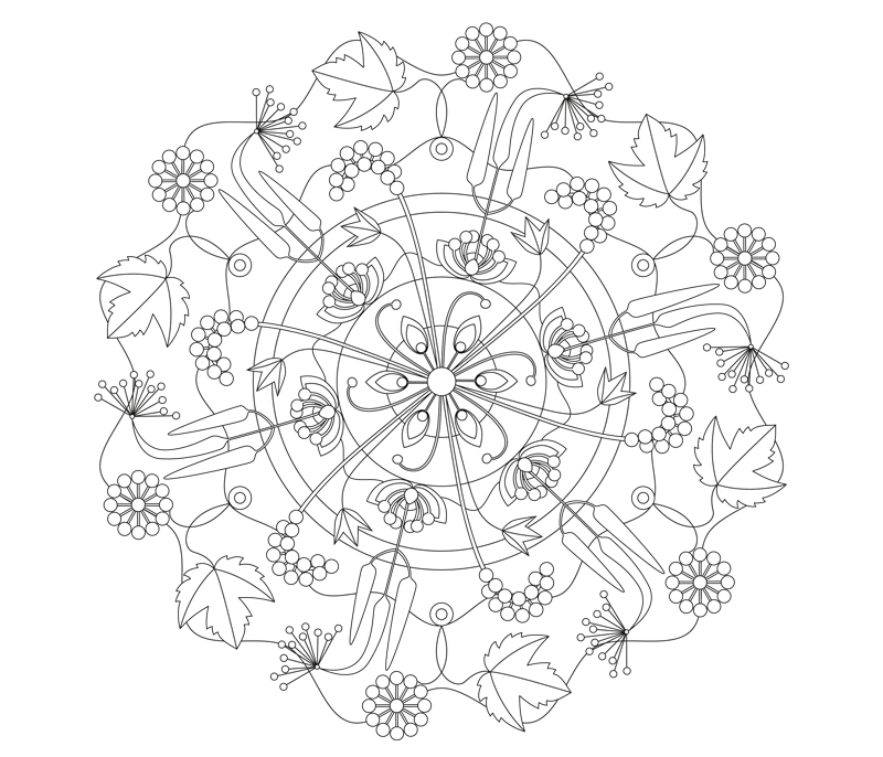 mandala traubensilberkerze illustration sylvia wolf